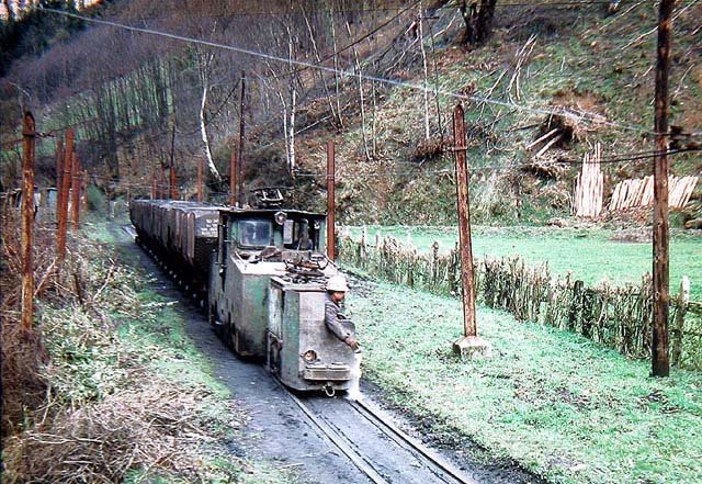 Cerezal.jpg (139.46 KiB) Visto 15463 veces Cerezal.jpg