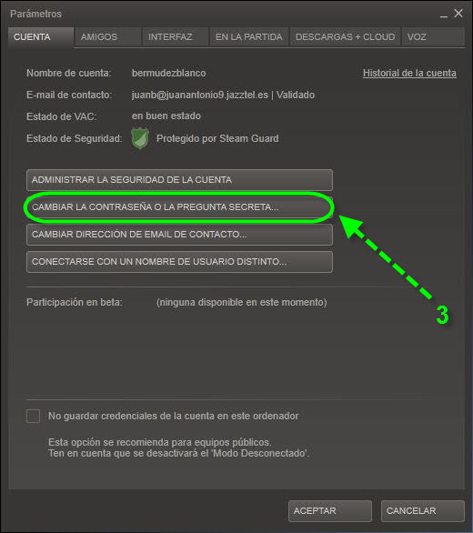 Contraseña_Steam.JPG