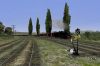 057 - Steam on the Sierra - Via Ancha.jpg